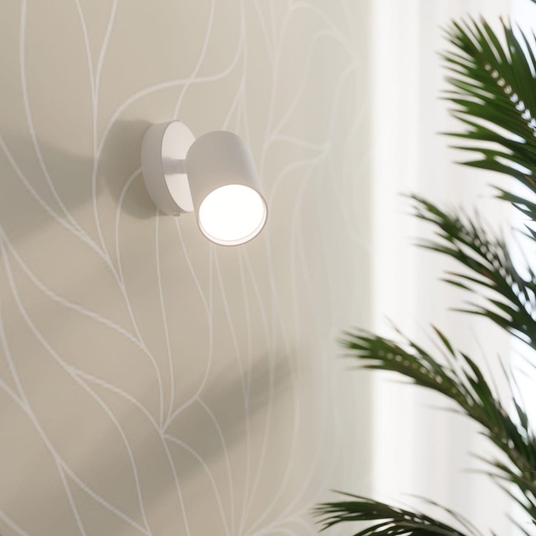 096d64c1e8214f8442b806f2121eebab