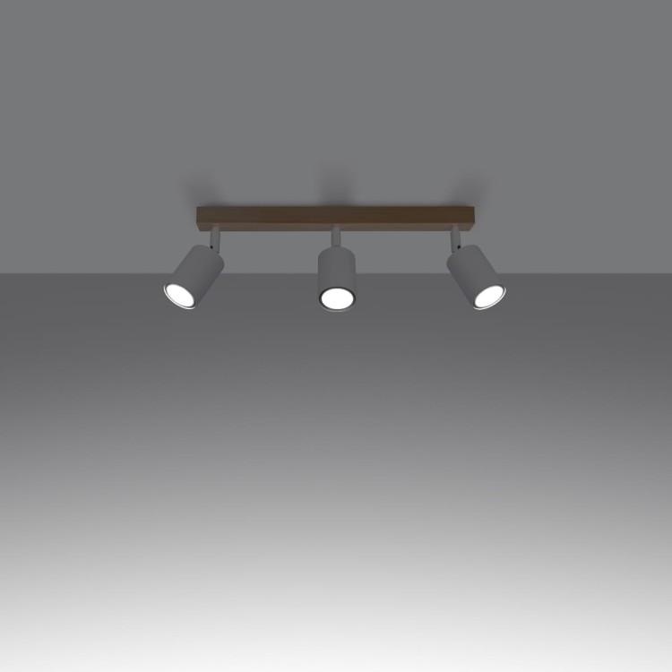 1bdf2a1b58cdce45c5f327699231c50c