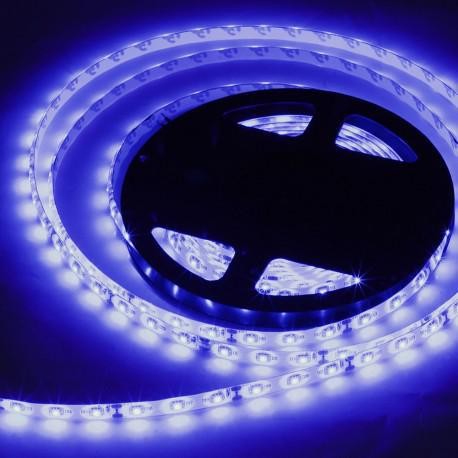 Taśma Led 60xSMD 3528 IP65 1m 12V/4,8W niebieska wodoodporna