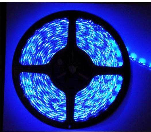 Taśma LED 60xSMD 2835 IP54 12V/4,8W Niebieska