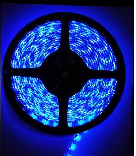 Taśma Led 60xSMD 2835 IP54 1m 12V/4,8W niebieska
