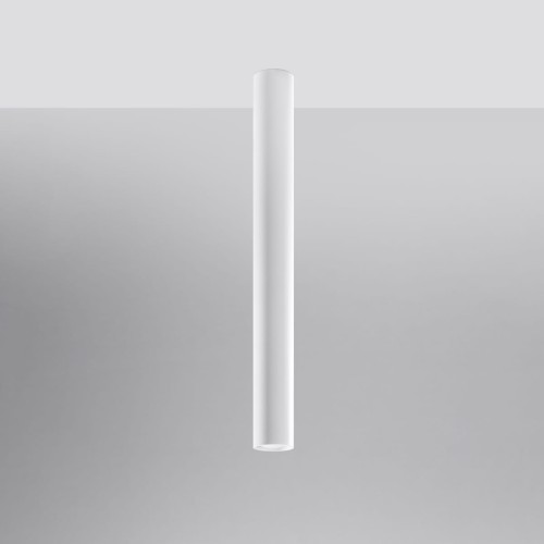 a01f5e56a8c910af60ffc15d7a9a055a