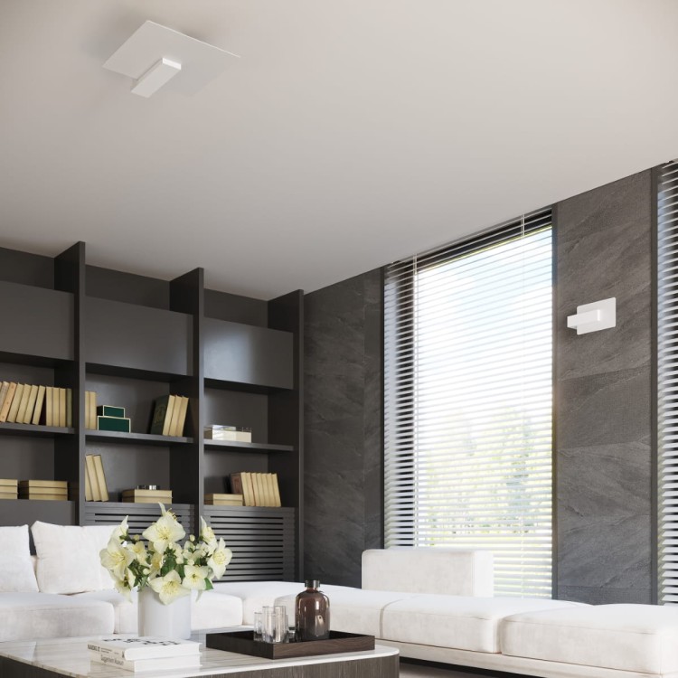 88168f7cb9c0080fabbd4a23d553ec43